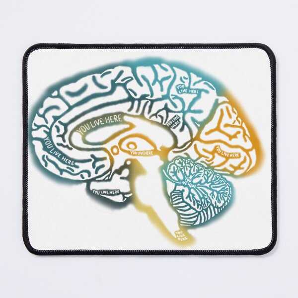 Item preview, Anatomical Brain designed and sold by saberbaber.