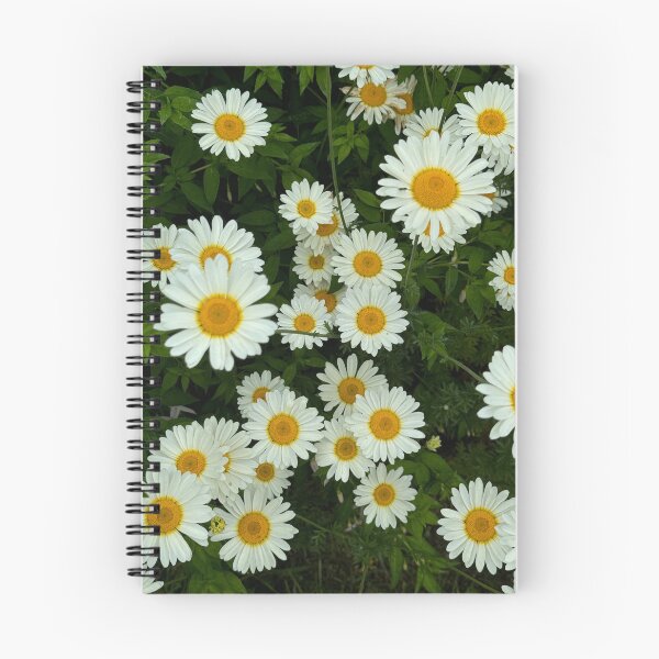 Item preview, Daisy Delight designed and sold by Karen Hairston.