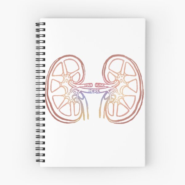 Item preview, Anatomical Kidneys designed and sold by saberbaber.