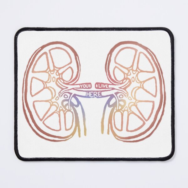 Item preview, Anatomical Kidneys designed and sold by saberbaber.