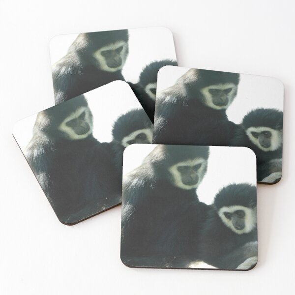 Item preview, White Handed Gibbons designed and sold by Photomainia.