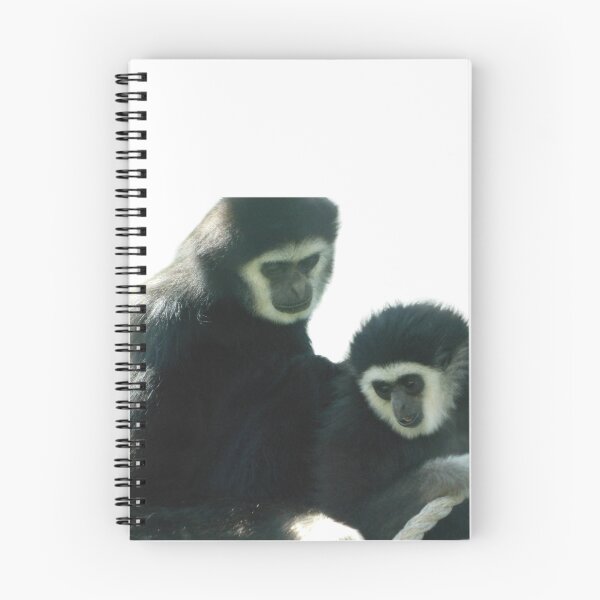 Item preview, White Handed Gibbons designed and sold by Photomainia.