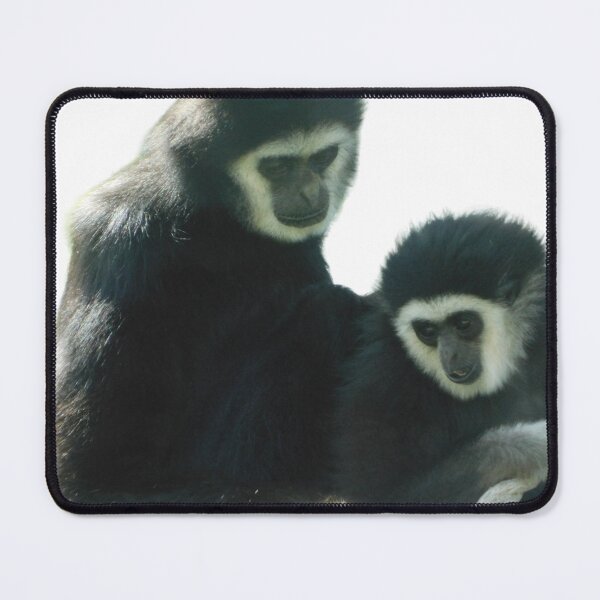 Item preview, White Handed Gibbons designed and sold by Photomainia.