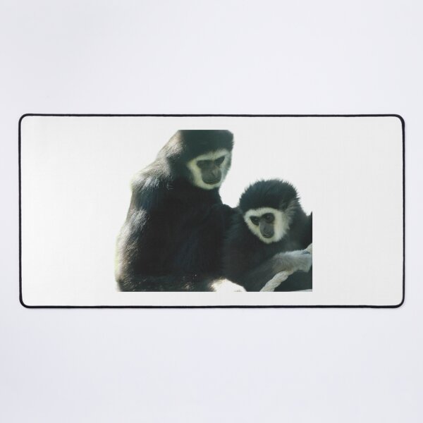Item preview, White Handed Gibbons designed and sold by Photomainia.