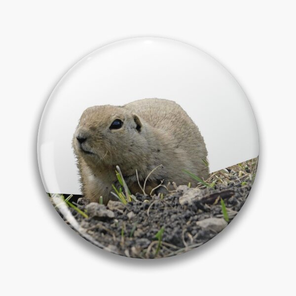 Item preview, Ground Squirrel Coming to Say Hello designed and sold by Photomainia.