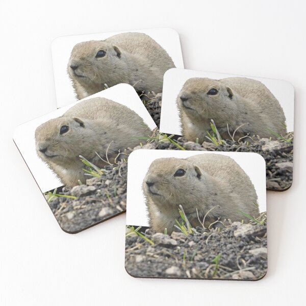Item preview, Ground Squirrel Coming to Say Hello designed and sold by Photomainia.