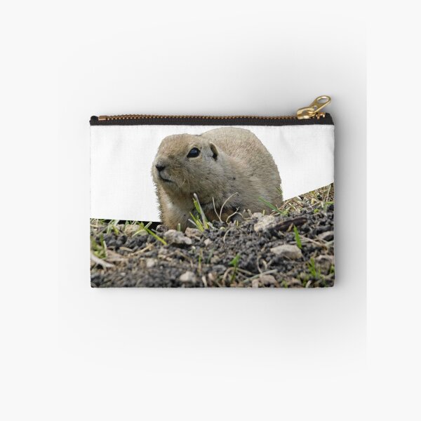 Item preview, Ground Squirrel Coming to Say Hello designed and sold by Photomainia.