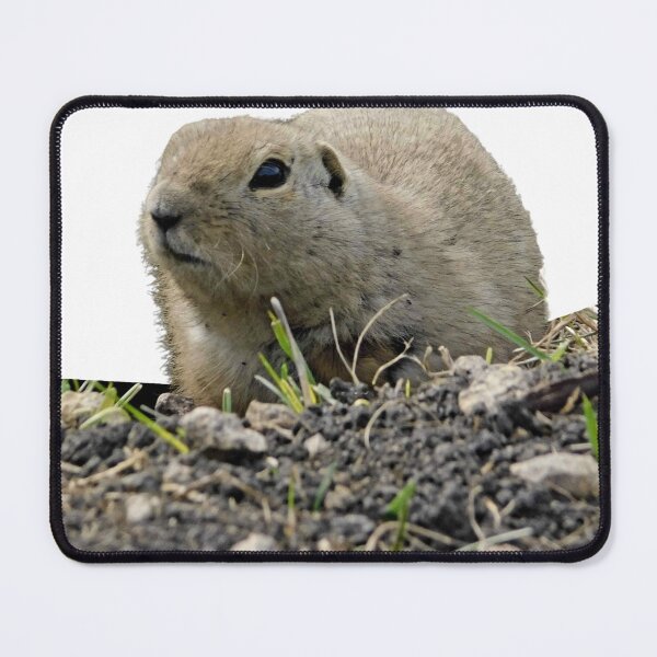 Item preview, Ground Squirrel Coming to Say Hello designed and sold by Photomainia.