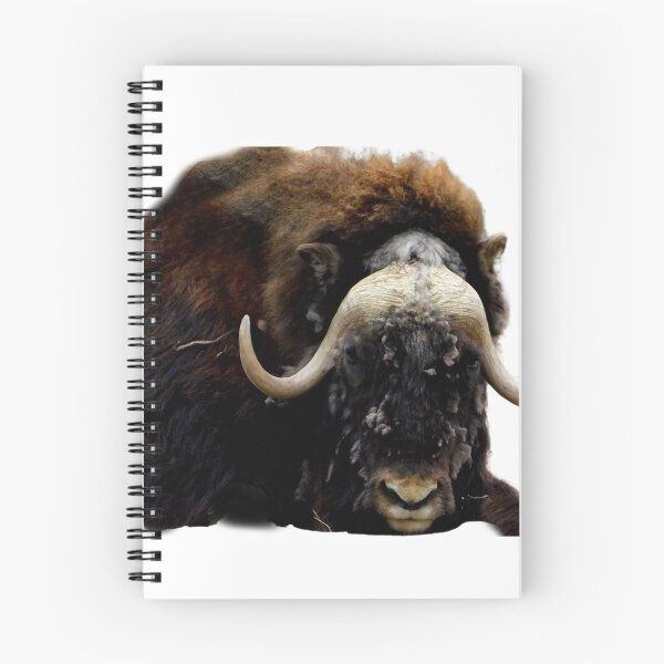 Item preview, Sleepy Time designed and sold by Photomainia.