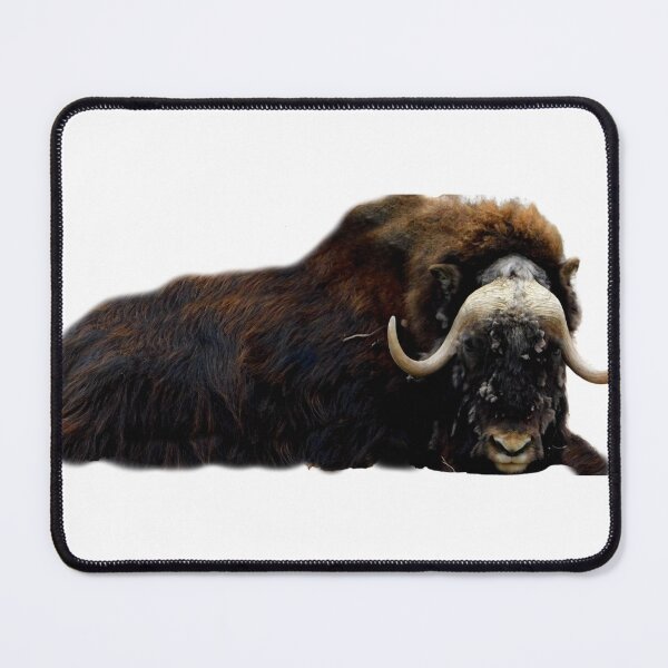 Item preview, Sleepy Time designed and sold by Photomainia.