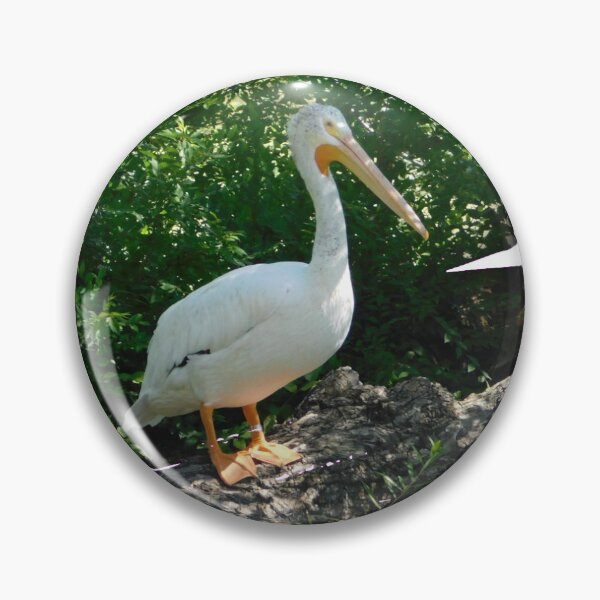Item preview, Pelican Brief designed and sold by Photomainia.