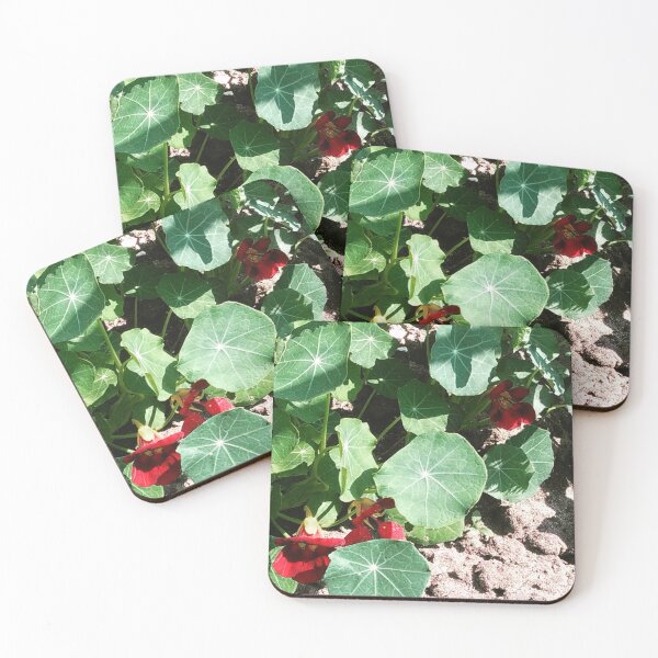 Item preview, Nasturtium Empress of India designed and sold by hajarsdeco.