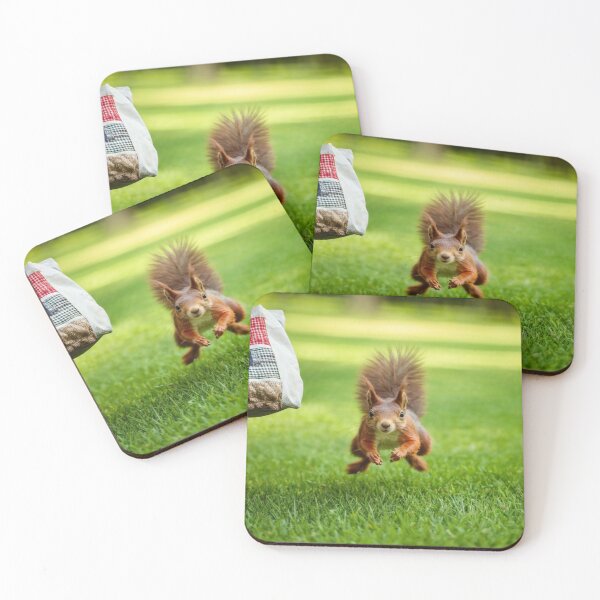 Item preview,  Hazelnut mission accomplished! designed and sold by Collection de trésors .