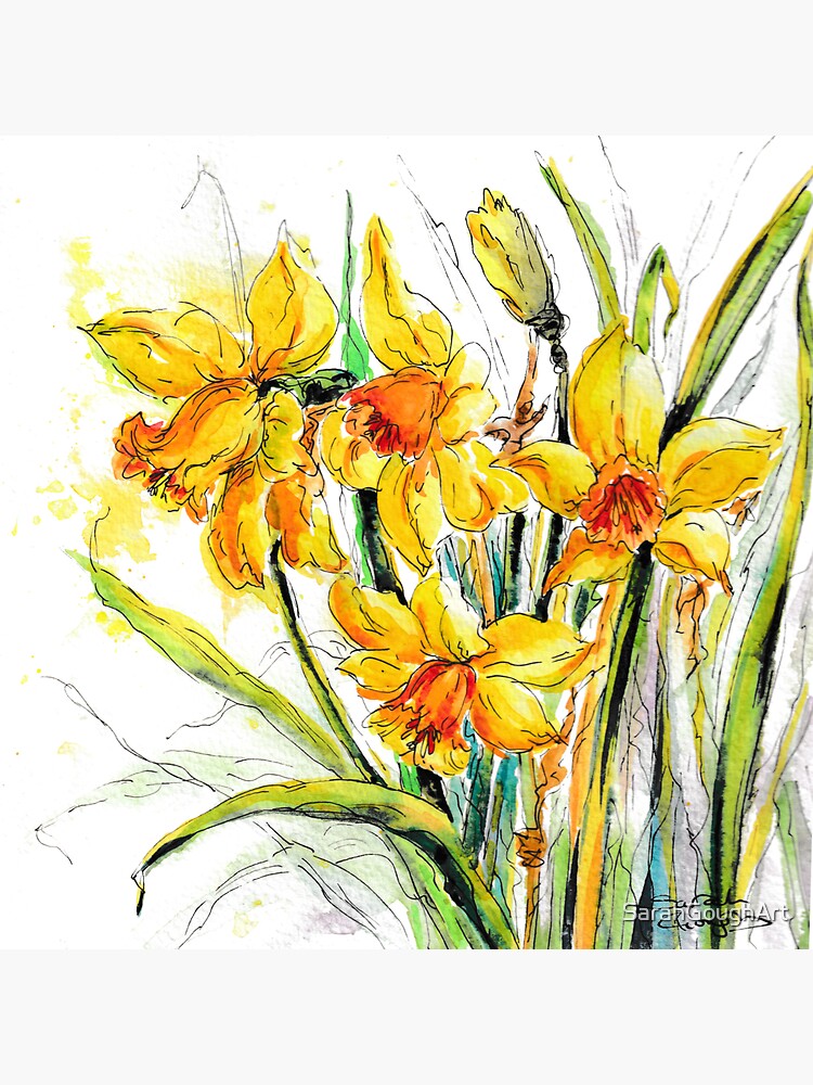 Thumbnail 3 of 3, Sticker, Daffodils in Springtime Growing Wild & Free designed and sold by SarahGoughArt.