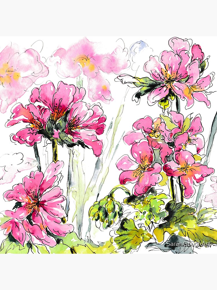 Thumbnail 3 of 3, Sticker, Pink Geranium Watercolour Flowers designed and sold by SarahGoughArt.