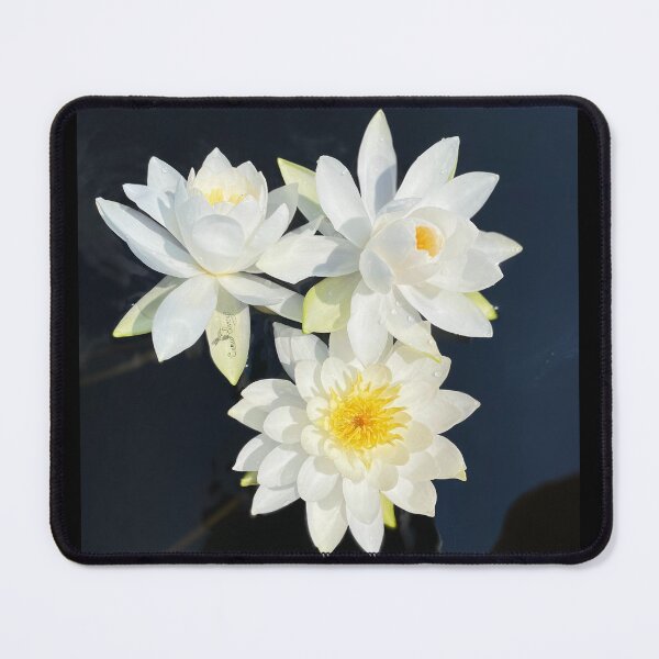 Item preview, Beautiful White Water Lily designed and sold by cameoivory.