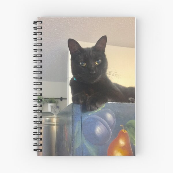 Item preview, Hallie on nannies box designed and sold by Lauracolleen3.