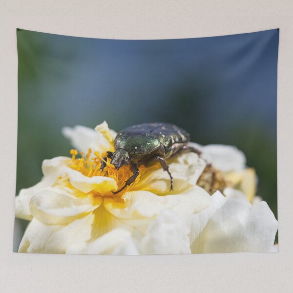 Item preview, Beetle on flower designed and sold by TheNordicNature.