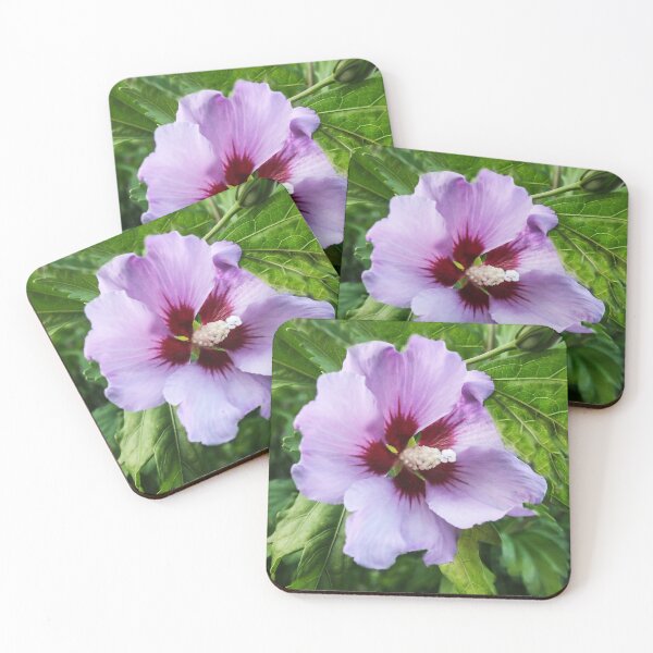 Item preview, Clematis designed and sold by heatherfriedman.