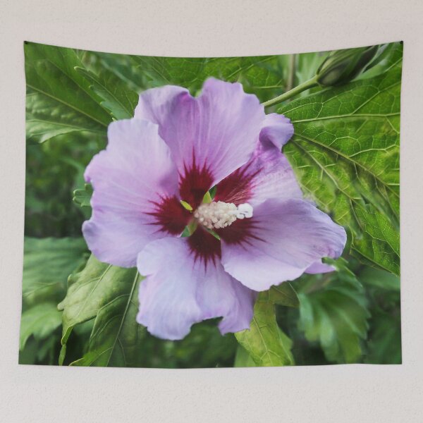 Item preview, Clematis designed and sold by heatherfriedman.