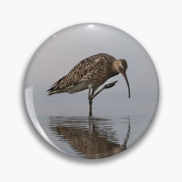 Item preview, Curlew designed and sold by Dorothy Thomson.