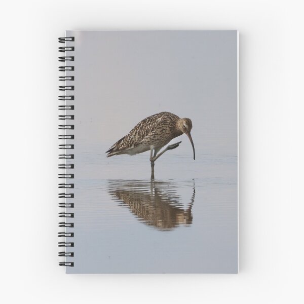 Item preview, Curlew designed and sold by Dorothy Thomson.