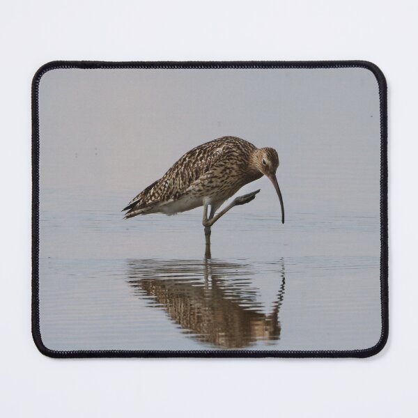 Item preview, Curlew designed and sold by Dorothy Thomson.