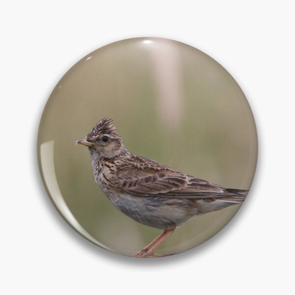Item preview, Skylark designed and sold by Dorothy Thomson.