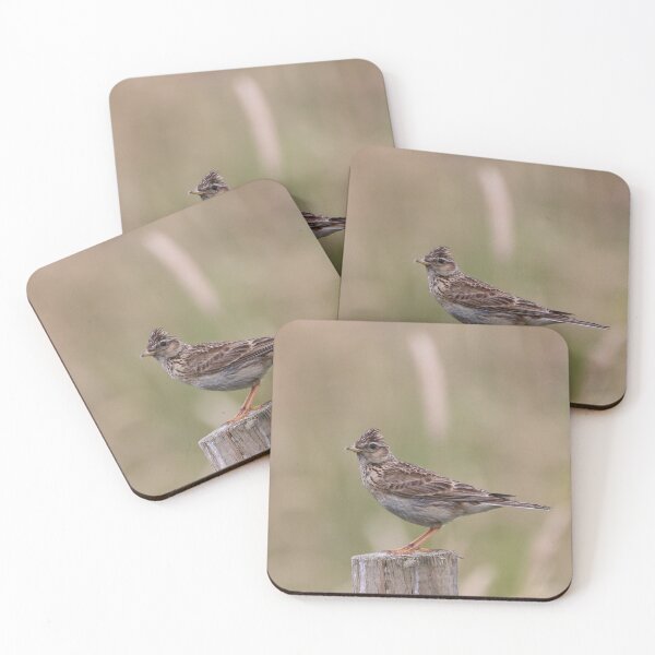 Item preview, Skylark designed and sold by Dorothy Thomson.
