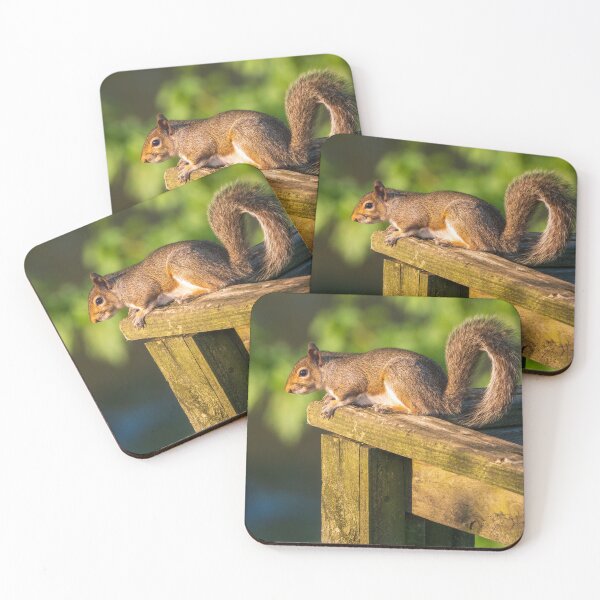 Item preview, Squirrel! designed and sold by Eoghann Mill Irving.