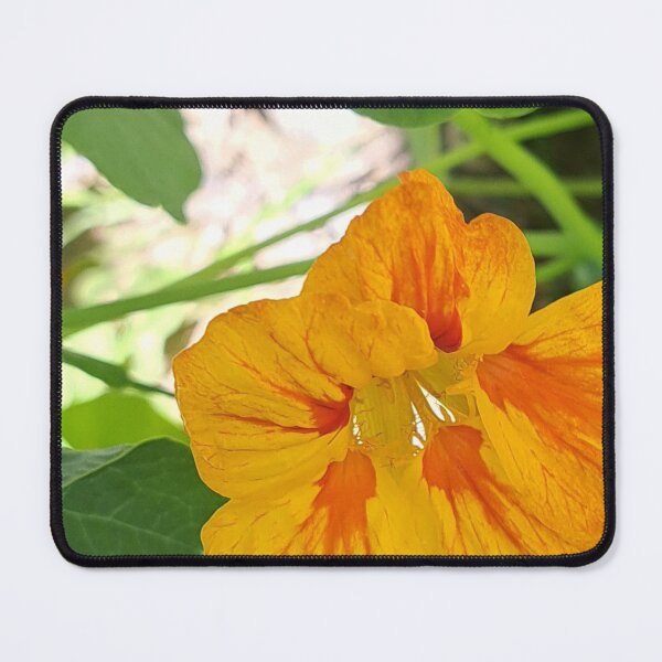 Item preview, yellow flower from montazah park designed and sold by sadeek1021953Ss.