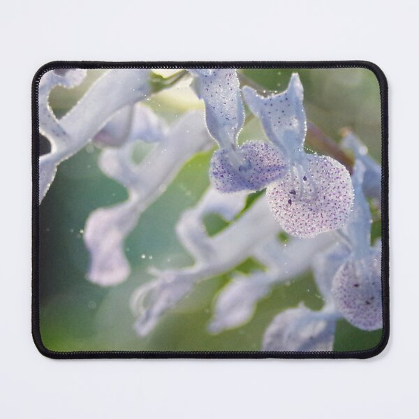 Item preview, Flowers of the bridal veil designed and sold by Penny Kittel.