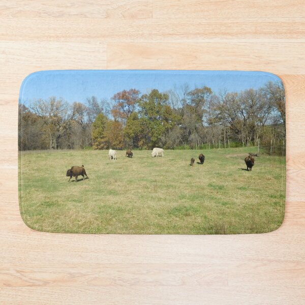 Item preview, Seven bison romping in fall designed and sold by PowerfulPhotos.