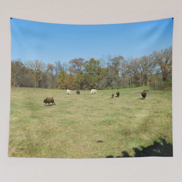 Item preview, Seven bison romping in fall designed and sold by PowerfulPhotos.