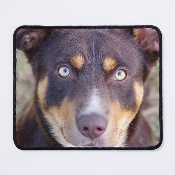 Item preview, Keen designed and sold by Penny Kittel.