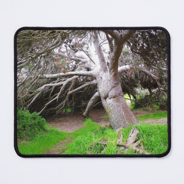 Item preview, Roomy Tree designed and sold by Penny Kittel.