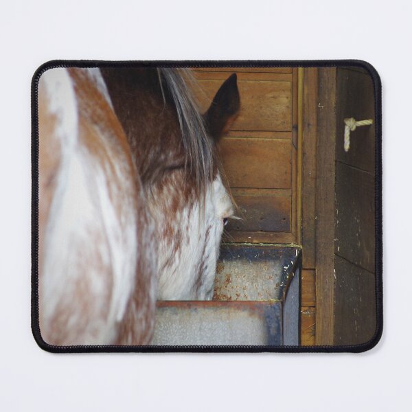 Item preview, The workhorse designed and sold by Penny Kittel.