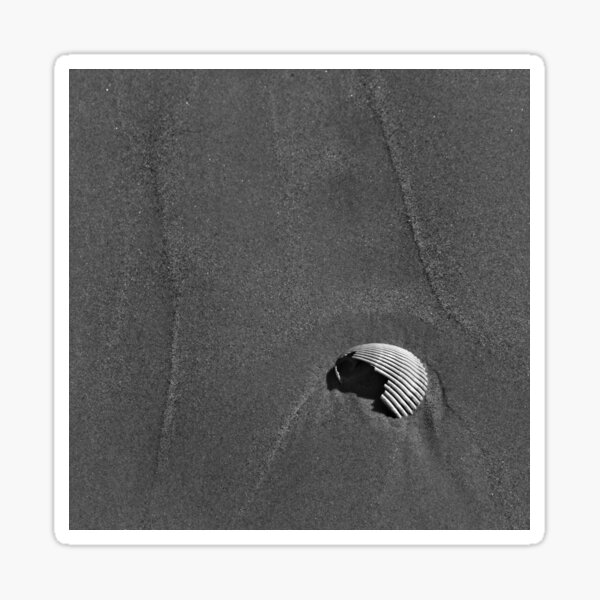 Item preview, Broken Shell designed and sold by Callum Morrison.