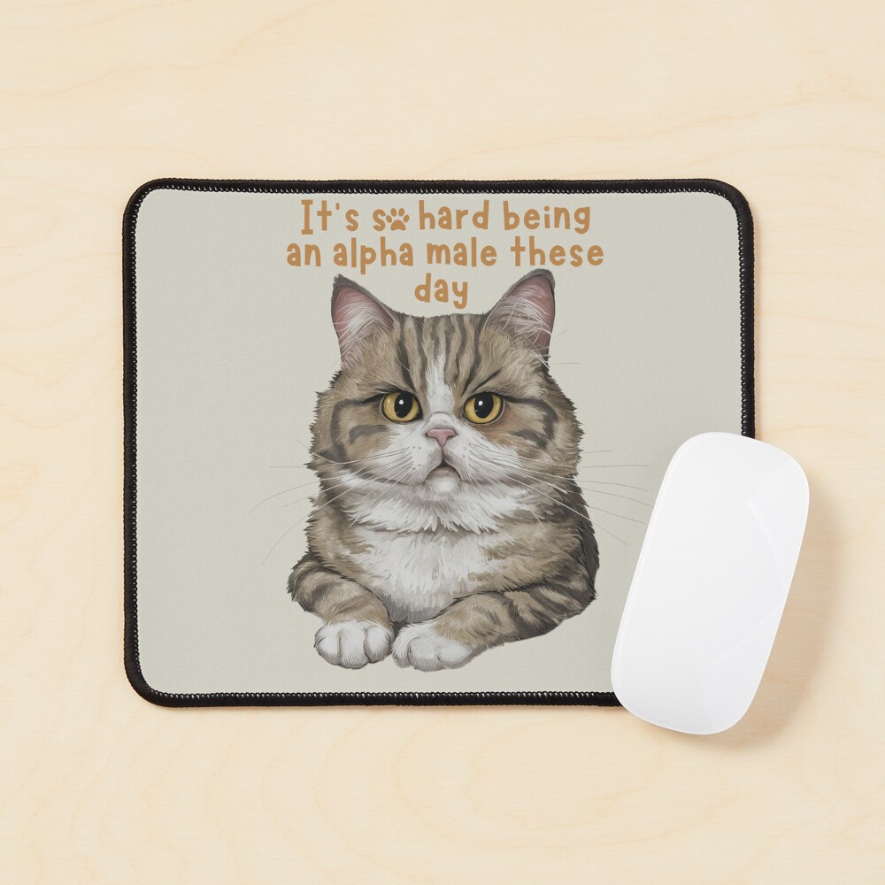 so hard being alpha male these day funny cat meme 