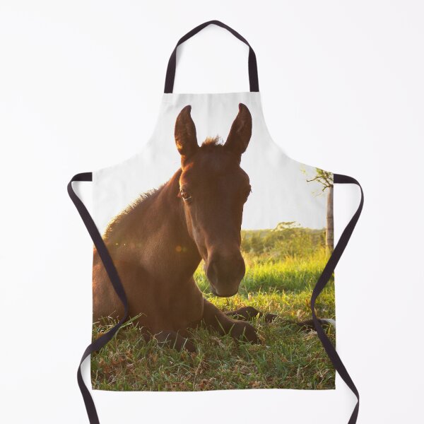 Item preview, Calypso designed and sold by Penny Kittel.