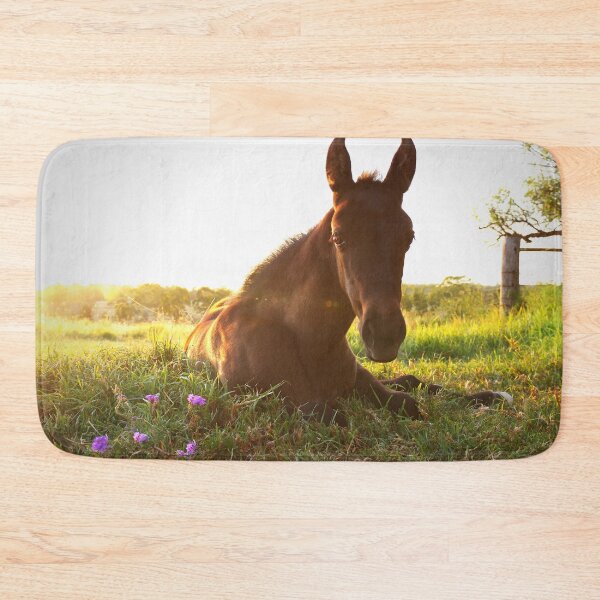 Item preview, Calypso designed and sold by Penny Kittel.