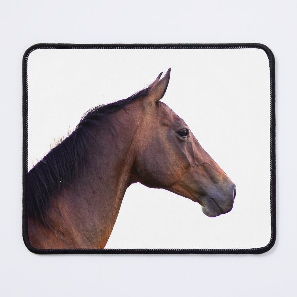 Item preview, Jimmy designed and sold by Penny Kittel.