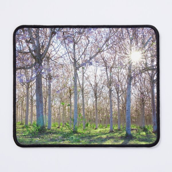 Item preview, Forest morning designed and sold by Penny Kittel.