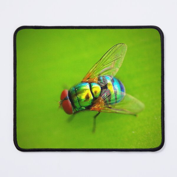 Item preview, Buzzfly designed and sold by Penny Kittel.