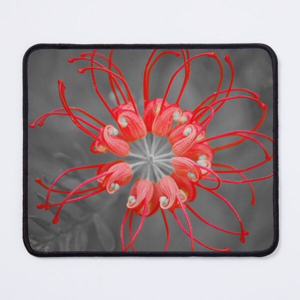 Item preview, Firework flower designed and sold by Penny Kittel.
