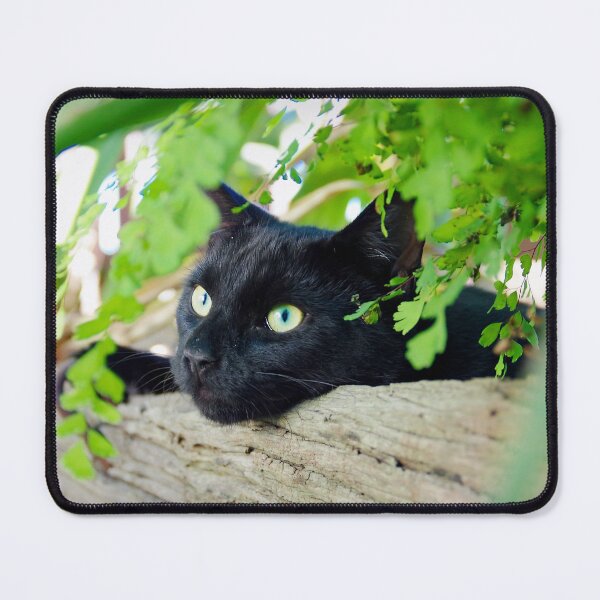 Item preview, Green eyes among green ferns designed and sold by Penny Kittel.