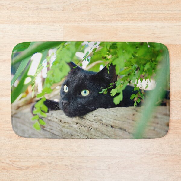 Item preview, Green eyes among green ferns designed and sold by Penny Kittel.