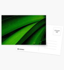 Greener than Green Postcards
