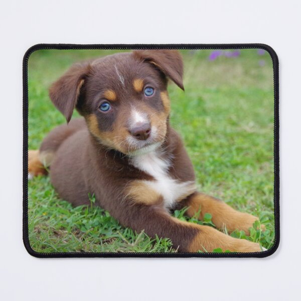 Item preview, Hey blue eyes! designed and sold by Penny Kittel.