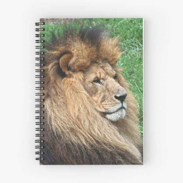 Item preview, Lion 001 designed and sold by JAMFoto.